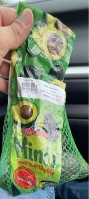Avocado