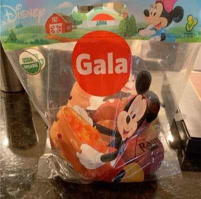 Gala Apple
