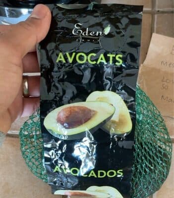 Organic Avocados