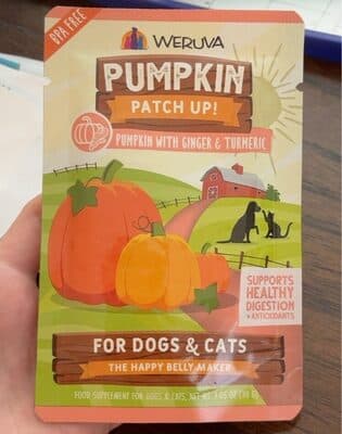 Pumpkin patch up!