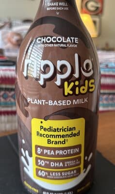 Plant-Based Chocolate Milk