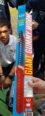 Giant Gummy Worm