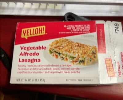 Vegetable Alfredo Lasagna