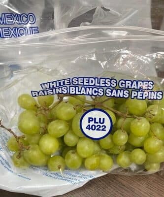 White Seedless Grapes