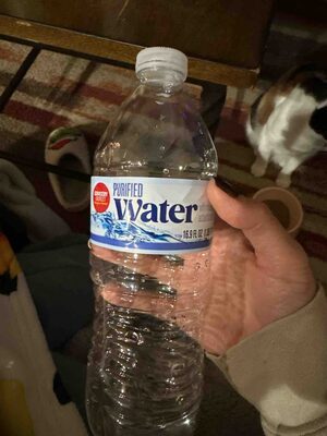 Purified Water
