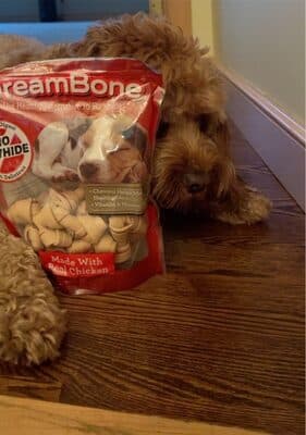Dream bone