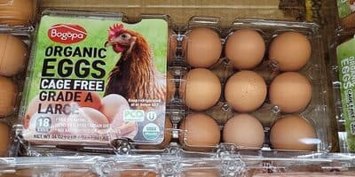 Organic Eggs Cage Free Grade A