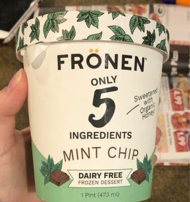 Mint Chip Dairy Free Frozen Dessert