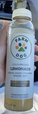 Lemonade Cold-Pressed Juice