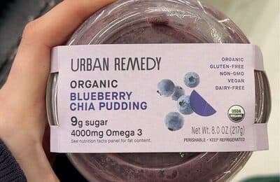 Organic Blueberry Chia Pudding