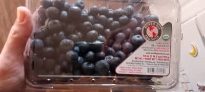 Blueberries