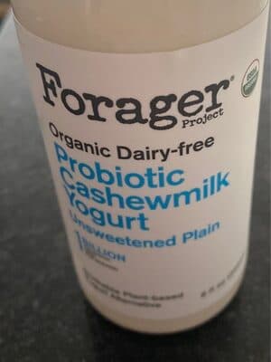 Unsweetened Plain Organic Dairy-Free Probiotic Cashewmilk Yogurt