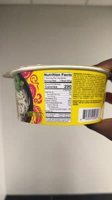 VIETNAMESE BEEF FLAVOR NOODLE SOUP PHO
