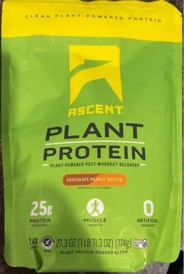 Protein Powder