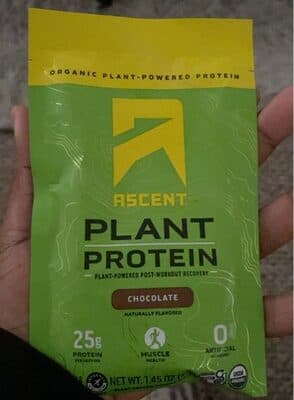 Protein Powder