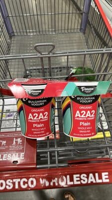 Organic A2A2 Probiotic Yogurt Plain