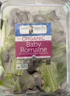 Organic Baby Romaine