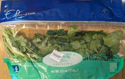 Cilantro