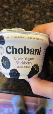 Low-Fat Greek Yogurt with Blackberry on the Bottom