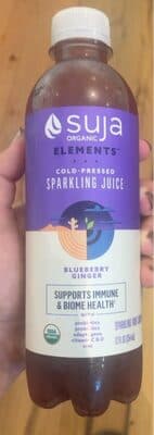 Blueberry Ginger Cold-Pressed Sparkling Fruit Juice Drink