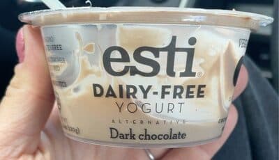 Dairy Free Yogurt