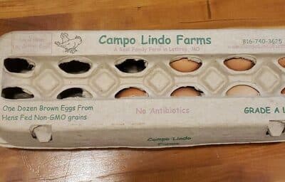 Brown Eggs