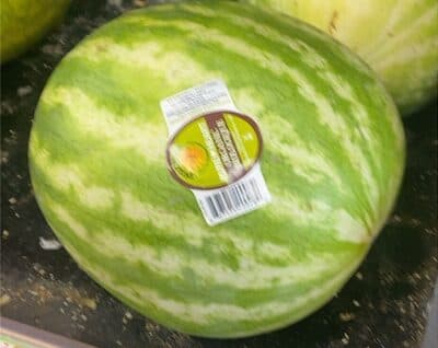 Watermelon