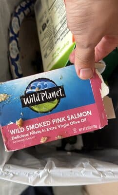 Salmon