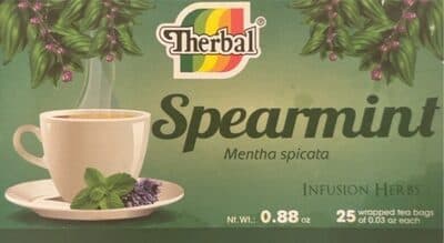 Spearmint Mentha Spicata