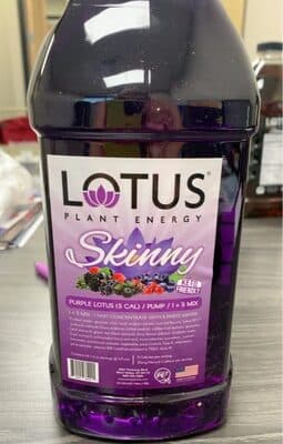 Lotus Plant Energy