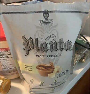 Planta