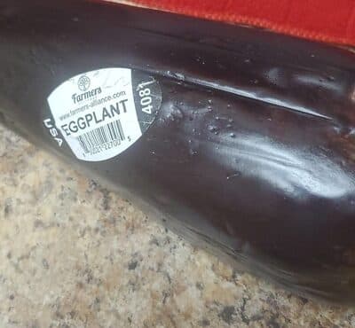 Eggplant