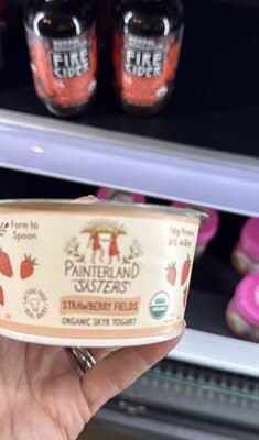 Strawberry Fields Organic Skyr Yogurt