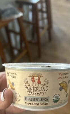Organic Skyr Yogurt - Blueberry Lemon