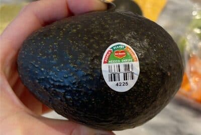 Avocado