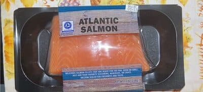 Atlantic Salmon