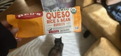 Cheese Quesadilla Organic Burrito