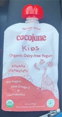 Kids Organic Dairy-free Yogurt