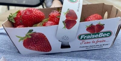 Local Strawberry Basket