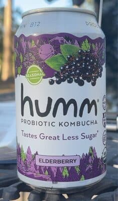 Elderberry Kombucha