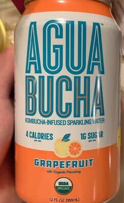 Agua Bucha