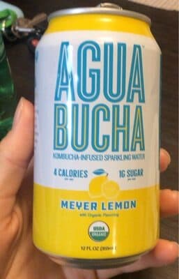 Mother Kombucha