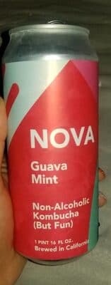 Nova Guava Mint