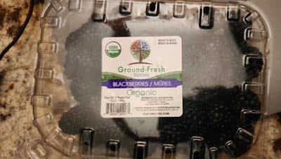 Organic Blackberries