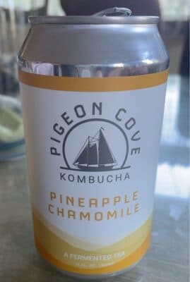 Kombucha