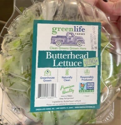 Butterhead Lettuce