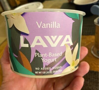 Vanilla Dairy Free Pili Nut Yogurt