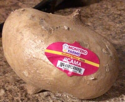 Jicama