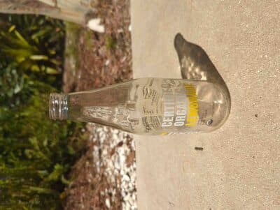 Certified Organic Lemonade