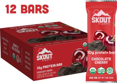 Protein bars chocolate cherry vegan paleo snacks
